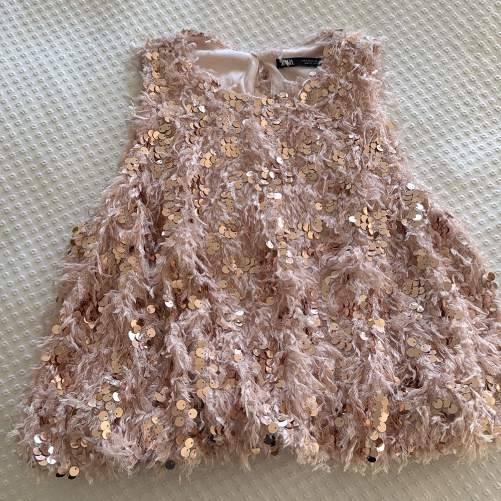 Zara Freyed Sequin Top!
